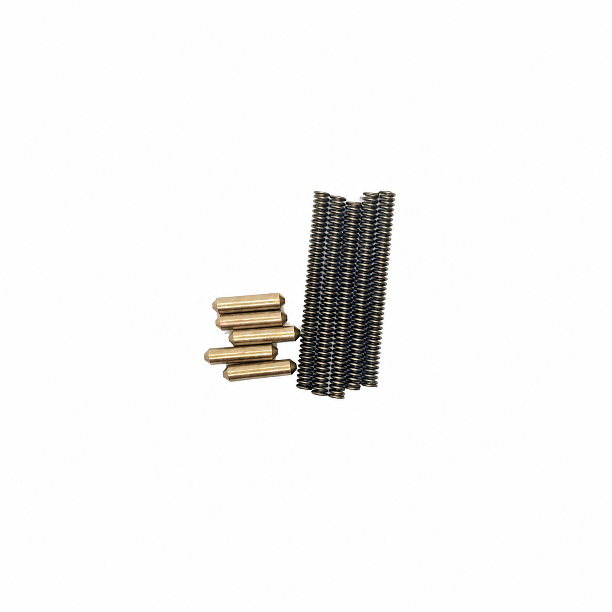 Takedown Pin Detent and Spring