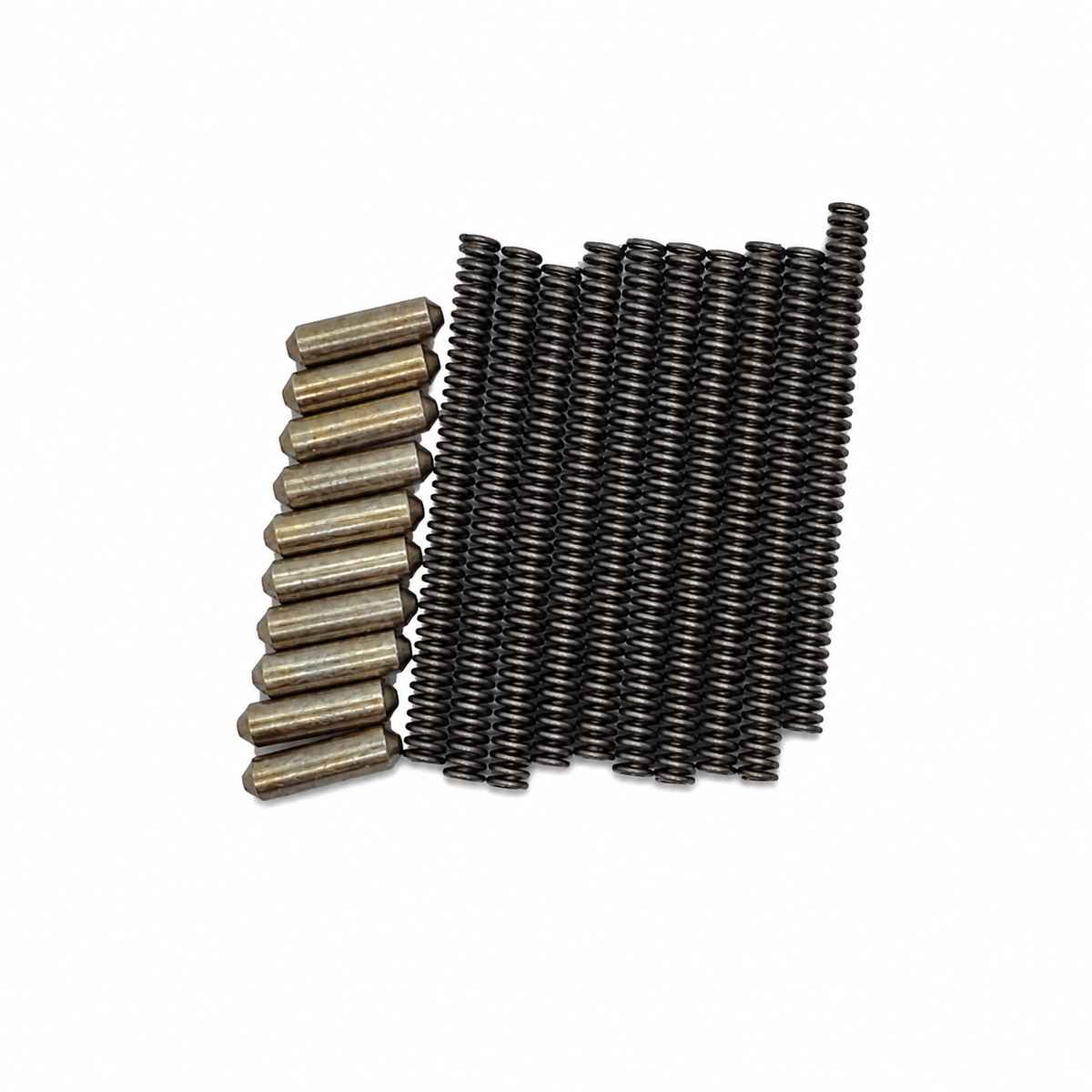 Takedown Pin Detent and Spring